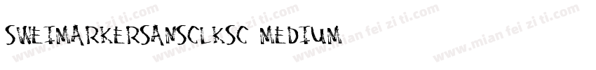 SweiMarkerSansClksc Medium字体转换